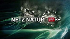 Netz Natur (1994) - Stream Online