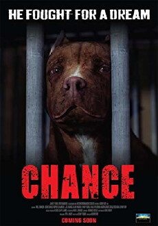 Chance (2017) - Stream Online