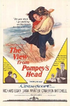 The View from Pompey's Head (1955) - Stream Online