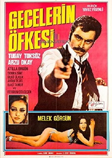 Gecelerin öfkesi (1971) - Stream Online