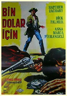 For One Thousand Dollars Per Day (1966) - Stream Online