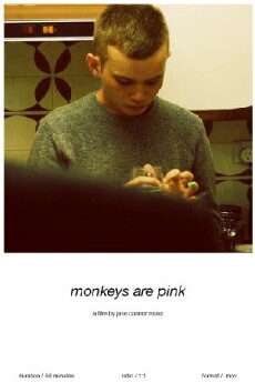 Monkeys Are Pink (2015) - Stream Online