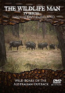 The Wildlife Man Featuring David Ireland (2001) - Stream Online