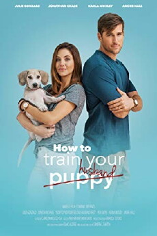 How to Train Your Husband or (How to Pick Your Second Husband First) (2018) - Stream Online