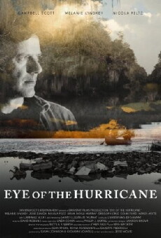 Eye of the Hurricane (2012) - Stream Online