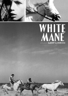 White Mane (1953) - Stream Online