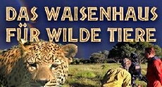 Das Waisenhaus für wilde Tiere (2011) - Stream Online