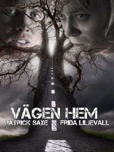 Vägen Hem (2012) - Stream Online