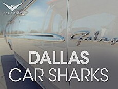 Dallas Car Sharks (2013) - Stream Online