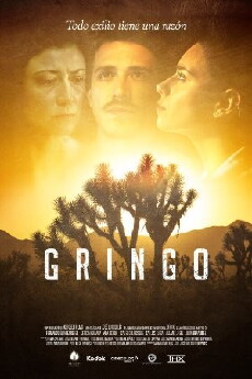 Gringo (2016) - Stream Online