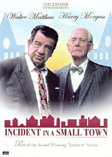 Incident in a Small Town (1994) - Stream Online