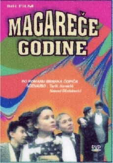Magarece godine (1994) - Stream Online