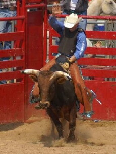 The Road to Houston (2014) - Stream Online