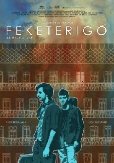 Feketerigó (2015) - Stream Online