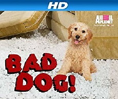 Bad Dog! (2010) - Stream Online