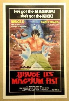 Bruce Li's Magnum Fist (1983) - Stream Online
