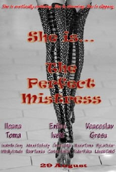 The Perfect Mistress (2011) - Stream Online