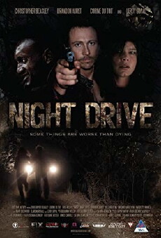 Night Drive - Hyänen des Todes (2010) - Stream Online