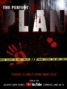 The Perfect Plan (2018) - Stream Online