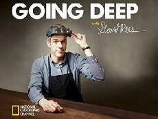 Going Deep with David Rees (2014) - Stream Online