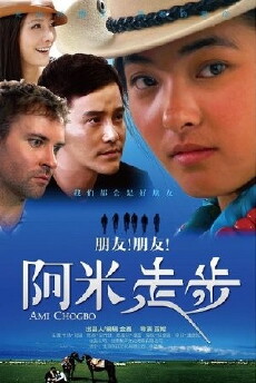 Ami Zoubu (2013) - Stream Online