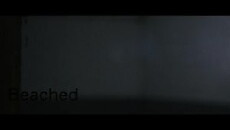 Beached (2017) - Stream Online