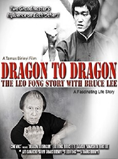 Dragon to Dragon (2018) - Stream Online