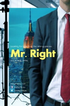 Mr. Right (2014) - Stream Online
