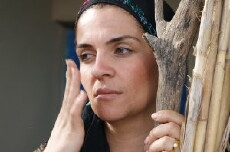 Where Is the Land? (2013) - Stream Online