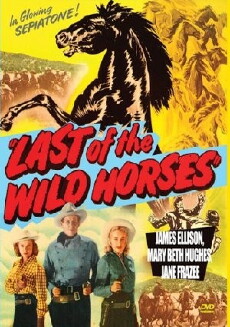 Last of the Wild Horses (1948) - Stream Online