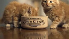 Jo Brand's Cats & Kittens (2017) - Stream Online