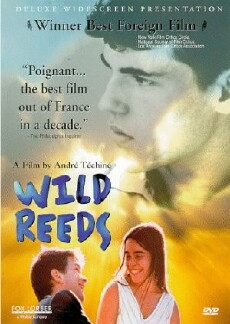 Wild Reeds (1994) - Stream Online