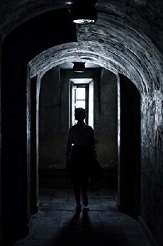 The Warden (2018) - Stream Online