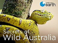 Secrets of Wild Australia (2016) - Stream Online