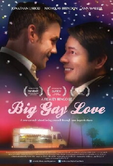 Big Gay Love (2013) - Stream Online