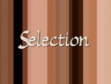 Selection (2005) - Stream Online