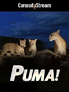 El puma (1959) - Stream Online