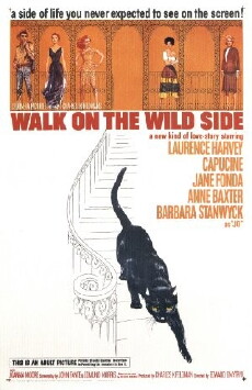 Walk on the Wild Side (1962) - Stream Online