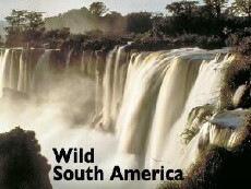 Wild South America (2000) - Stream Online