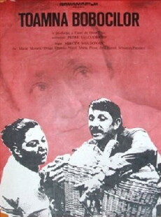 Toamna bobocilor (1975) - Stream Online