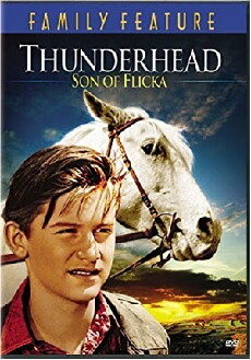 Thunderhead - Son of Flicka (1945) - Stream Online