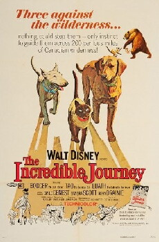 Die unglaubliche Reise (1963) - Stream Online
