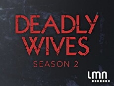 Deadly Wives (2013) - Stream Online