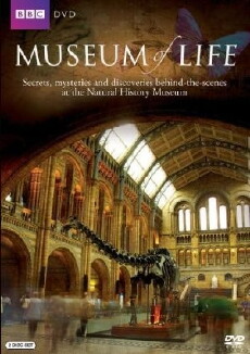 Museum of Life (2010) - Stream Online