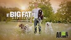My Big Fat Pet Makeover (2017) - Stream Online