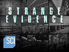 Strange Evidence (2017) - Stream Online