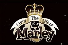 Living the Life of Marley (2007) - Stream Online