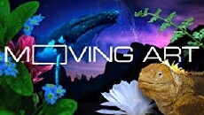 Moving Art (2014) - Stream Online