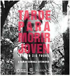 Too Late to Die Young (2018) - Stream Online