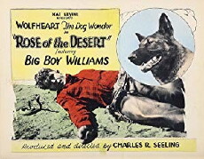 Rose of the Desert (1925) - Stream Online